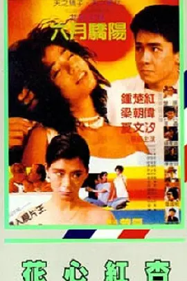 久久久久精彩视频