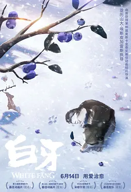 高清在线精品一区二区
