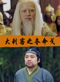 国产精品v