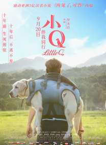 大香焦依人在钱6