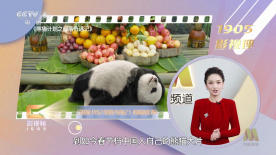 色图一区